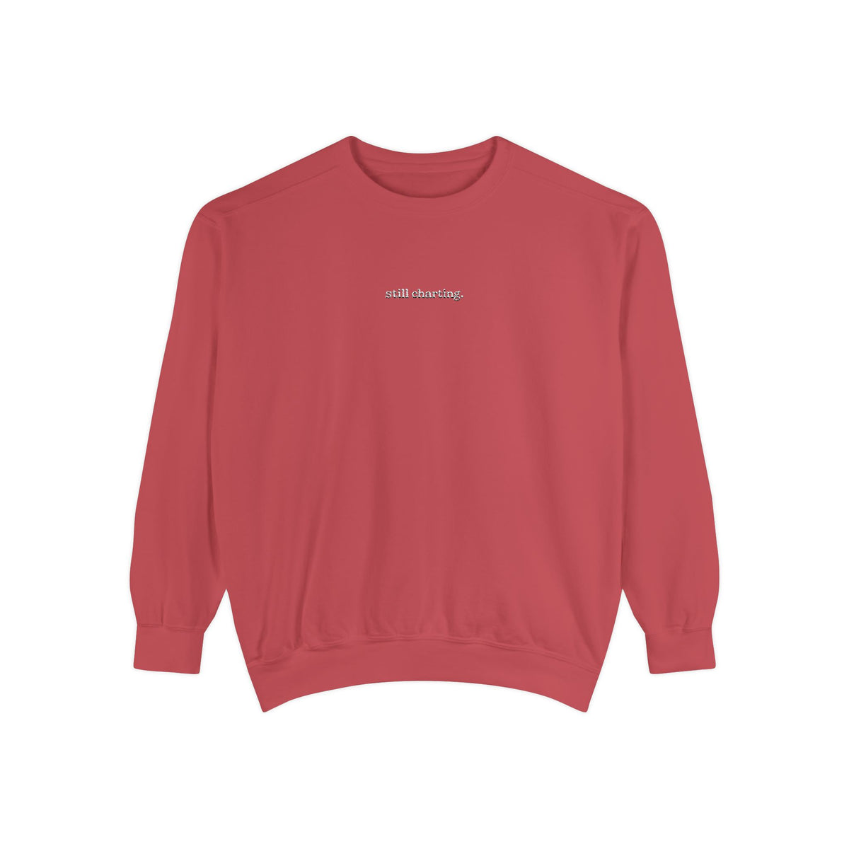 Still Charting Embroidered Sweatshirt