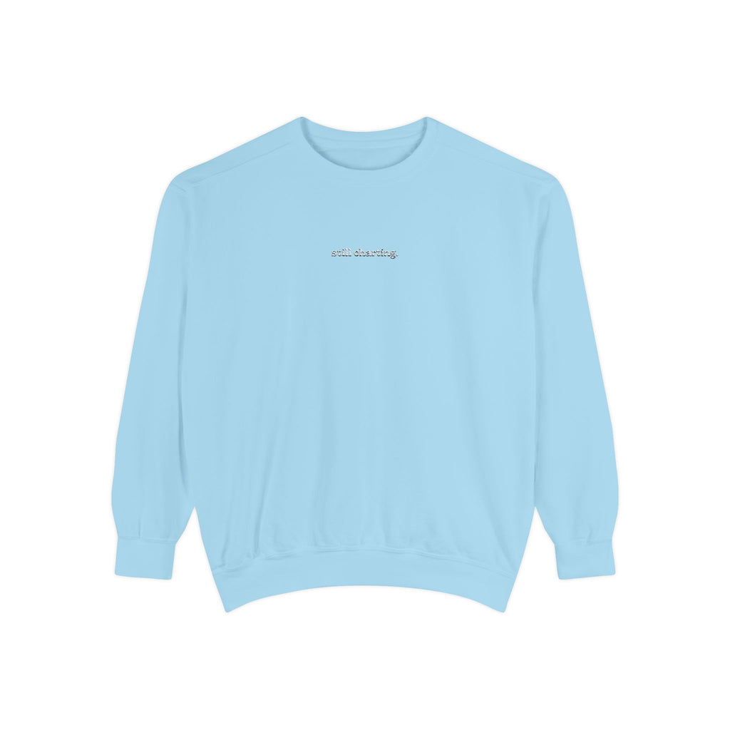 Still Charting Embroidered Sweatshirt