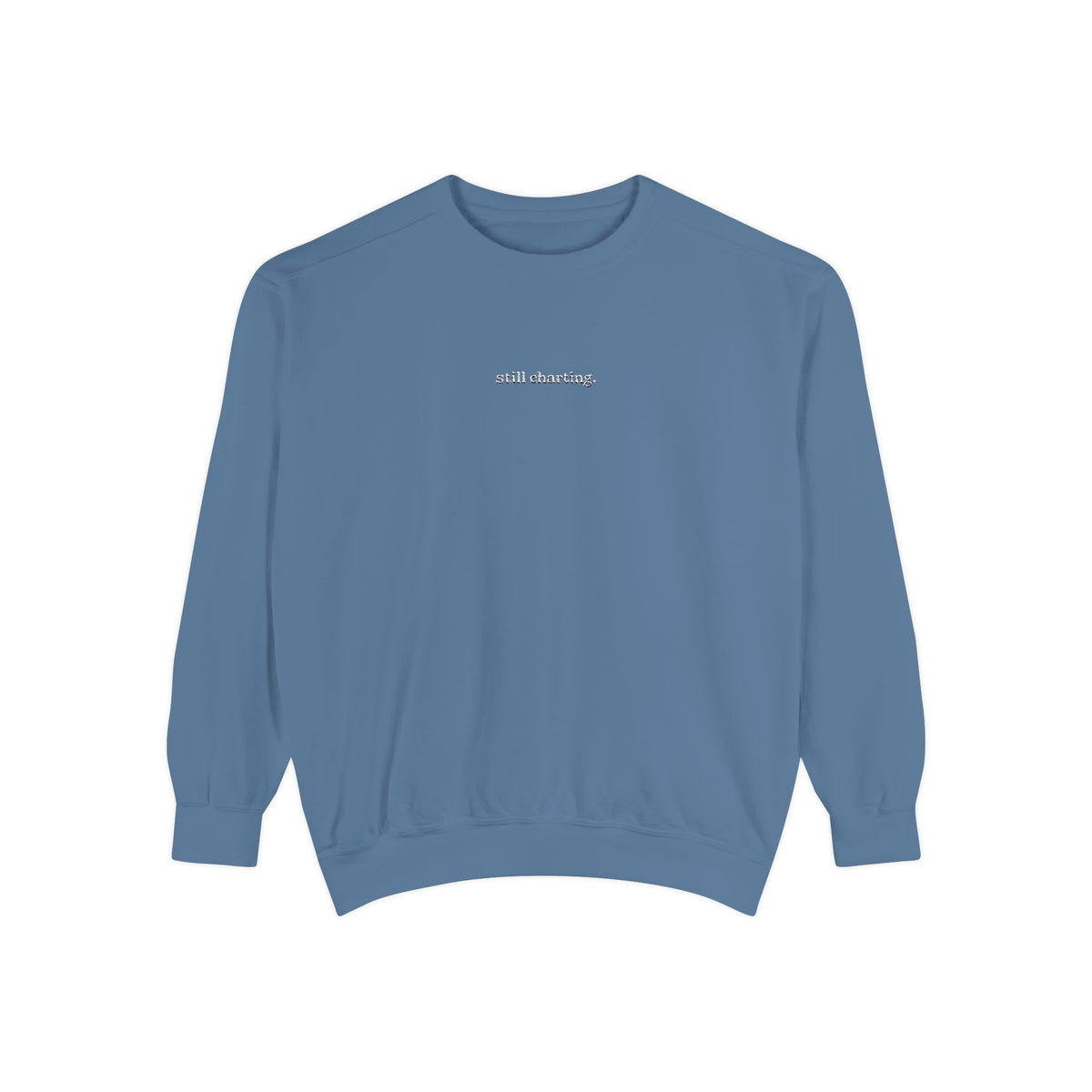 Still Charting Embroidered Sweatshirt