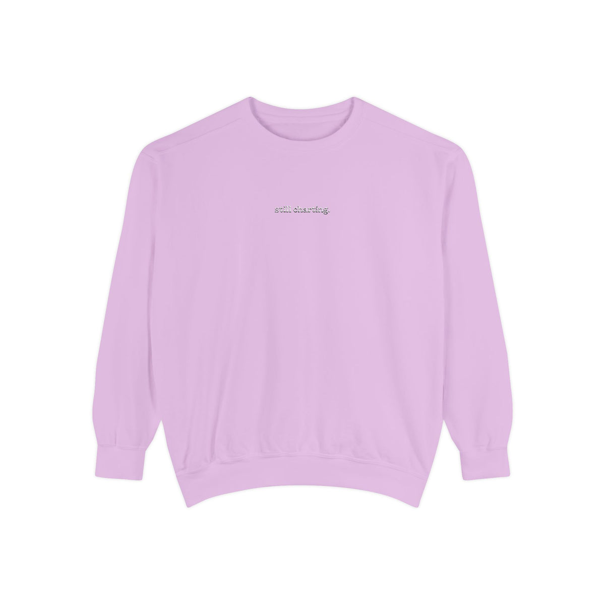 Still Charting Embroidered Sweatshirt