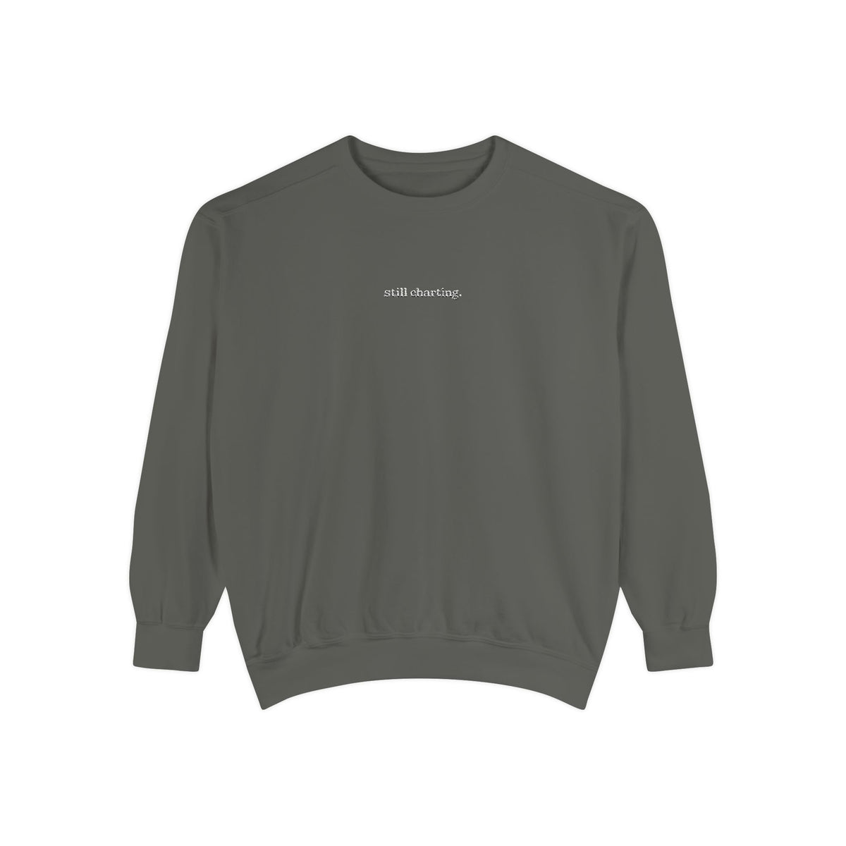 Still Charting Embroidered Sweatshirt
